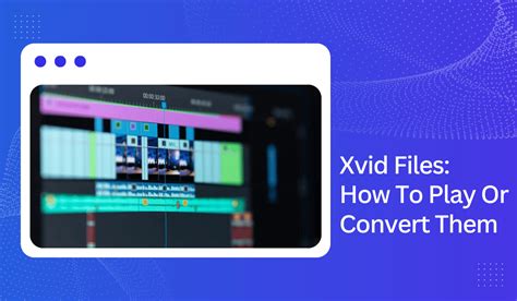 xxivid|How to play Xvid files or convert them .